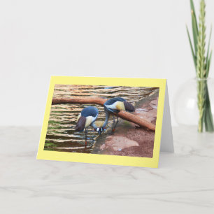 Cartes Pour Fêtes Annuelles Grues couronnées grises