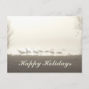 Cartes Pour Fêtes Annuelles Grues de Sandhill dans la mer Joyeuses fêtes
