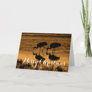 Cartes Pour Fêtes Annuelles Grues de Sandhill, Joyeux Noël