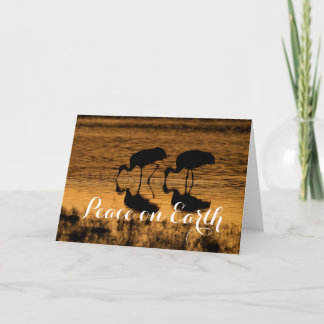 Cartes Pour Fêtes Annuelles Grues de Sandhill, Paix sur Terre