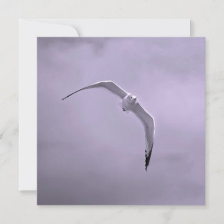 Cartes Pour Fêtes Annuelles Gull in flight black and white