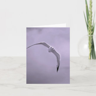 Cartes Pour Fêtes Annuelles Gull in flight black and white