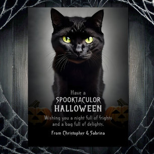 Cartes Pour Fêtes Annuelles Halloween Chat Noir éffrayant