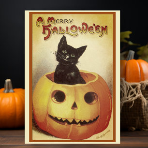 Cartes Pour Fêtes Annuelles Halloween joyeux chat noir rétro vintage personnal