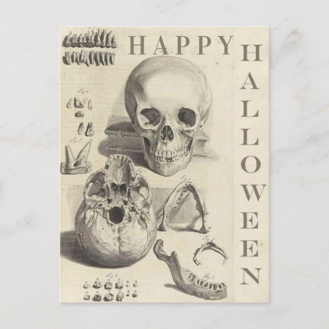 Cartes Pour Fêtes Annuelles Halloween vintage (Devant)