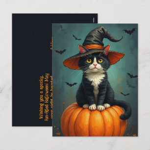 Cartes Pour Fêtes Annuelles Halloween Witch Tuxedo Chat Sur Un Citrouille