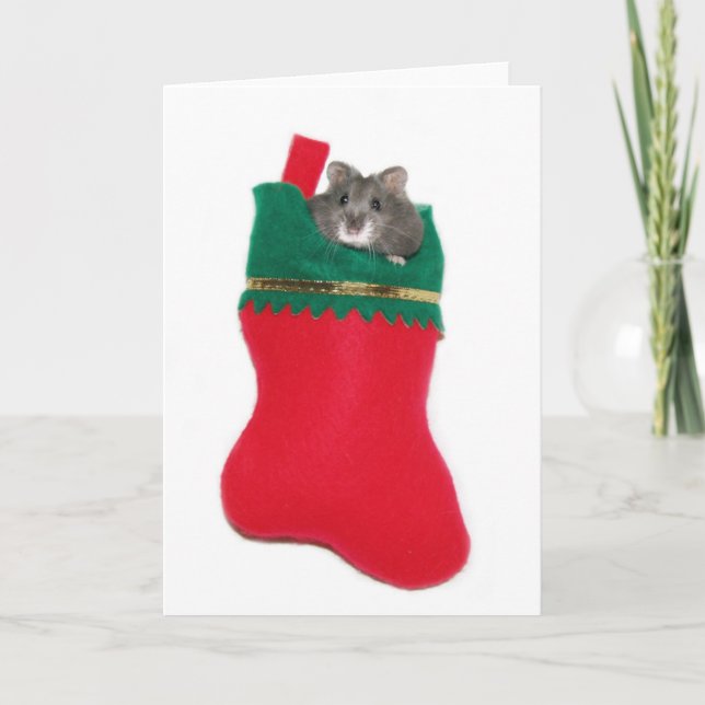 Cartes Pour Fêtes Annuelles Hamster dans le bas de Noël (Devant)