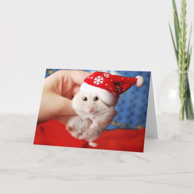 Cartes Pour Fêtes Annuelles Hamster nain mignon Tutku avec le casquette du (Devant)