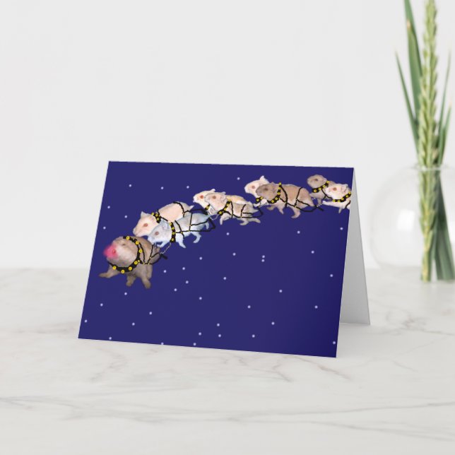 Cartes Pour Fêtes Annuelles Hamsters de vacances (Devant)