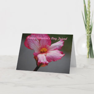 Cartes Pour Fêtes Annuelles Haoppy Valentine's Day Friend