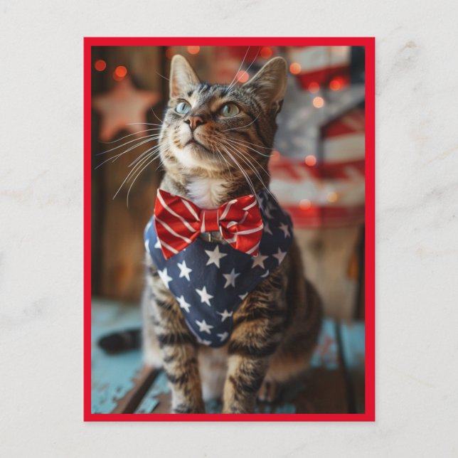 Cartes Pour Fêtes Annuelles Happy 4 juillet Chat (Devant)