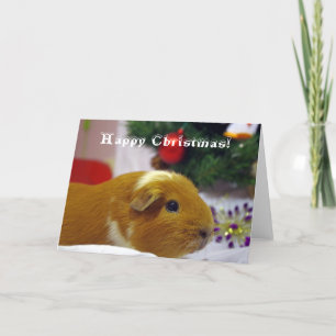 Cartes Pour Fêtes Annuelles Happy Christmas