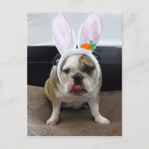 Cartes Pour Fêtes Annuelles Happy Easter