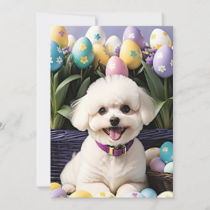 Cartes Pour Fêtes Annuelles Happy Easter Bichon Frise