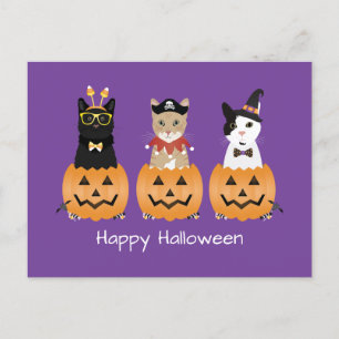 Cartes Pour Fêtes Annuelles Happy Halloween Cats Jack-o'-lantern