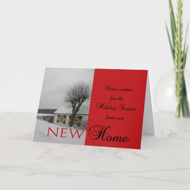 Cartes Pour Fêtes Annuelles Happy Holidays (Devant)