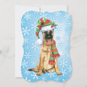 Cartes Pour Fêtes Annuelles Happy Howlidays Belgian Malinois
