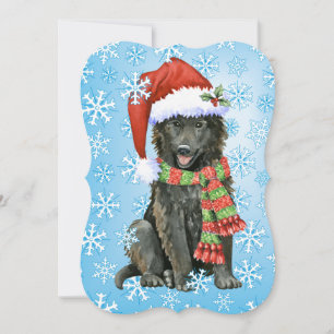 Cartes Pour Fêtes Annuelles Happy Howlidays Belgian Sheepdog