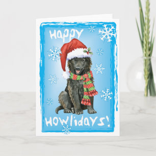 Cartes Pour Fêtes Annuelles Happy Howlidays Belgian Sheepdog
