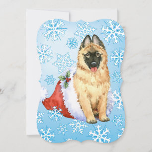 Cartes Pour Fêtes Annuelles Happy Howlidays Belgian Tervuren