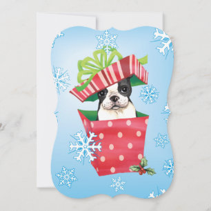 Cartes Pour Fêtes Annuelles Happy Howlidays Boston Terrier