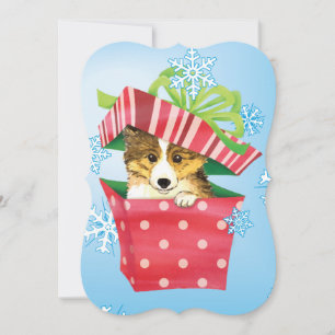 Cartes Pour Fêtes Annuelles Happy Howlidays Sheltie
