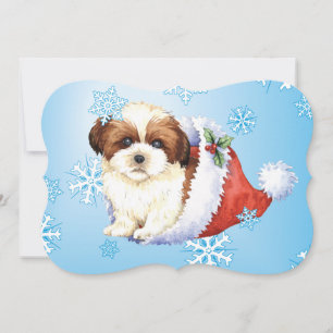 Cartes Pour Fêtes Annuelles Happy Howlidays Shih Tzu
