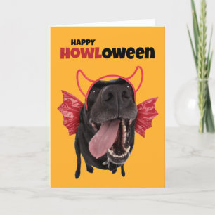 Cartes Pour Fêtes Annuelles Happy HOWLoween Chien drôle dans le costume d'Hall