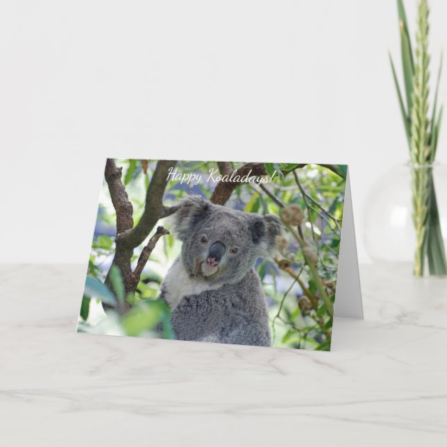 Cartes Pour Fêtes Annuelles Happy Koaladays adorable koala card (Devant)