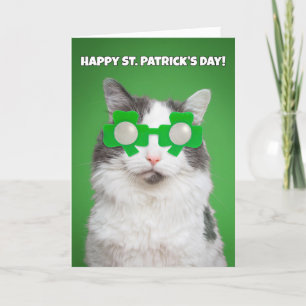 Cartes Pour Fêtes Annuelles Happy St. Patrick's Day  Cat in Shamrock Glasses