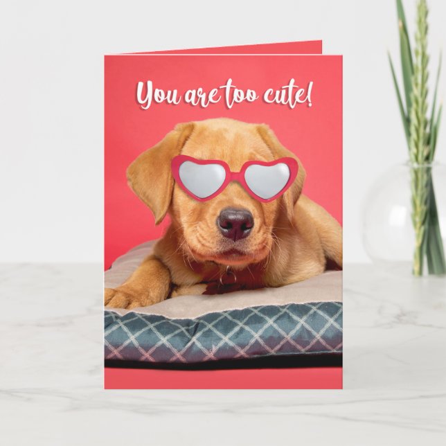 Cartes Pour Fêtes Annuelles Happy Valeneitne's Day mignonne Labrador Humour ch (Devant)