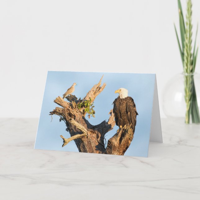 Cartes Pour Fêtes Annuelles Harriet et la colombe (Devant)