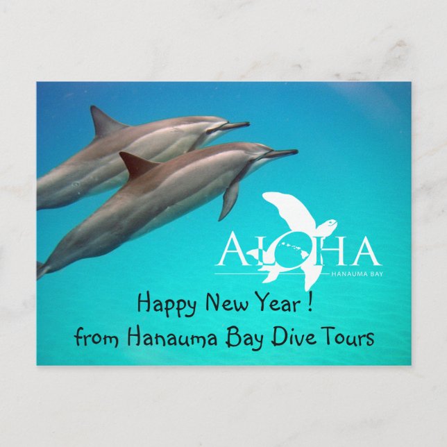 Cartes Pour Fêtes Annuelles Hawaii Bonne Année (Devant)