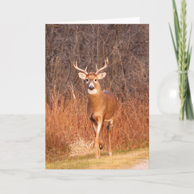 Cartes Pour Fêtes Annuelles Hé - où êtes vous allant ? ! (Cerfs communs/mâle) (Devant)