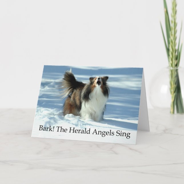 Cartes Pour Fêtes Annuelles Herald Sheltie (Devant)