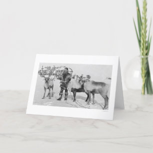 Cartes Pour Fêtes Annuelles Herd pur d'Alaska 1909