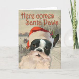Cartes Pour Fêtes Annuelles Here Comes Santa Paws