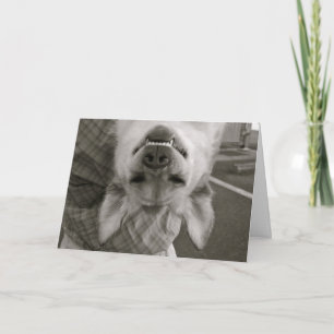 Cartes Pour Fêtes Annuelles Heureuse Sainte-Valentin