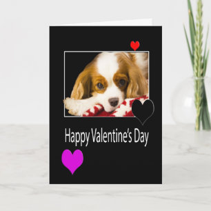 Cartes Pour Fêtes Annuelles Heureuse Sainte-Valentin avec l'épagneul du Roi