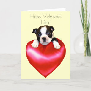 Cartes Pour Fêtes Annuelles Heureuse Sainte-Valentin Boston Terrier Card