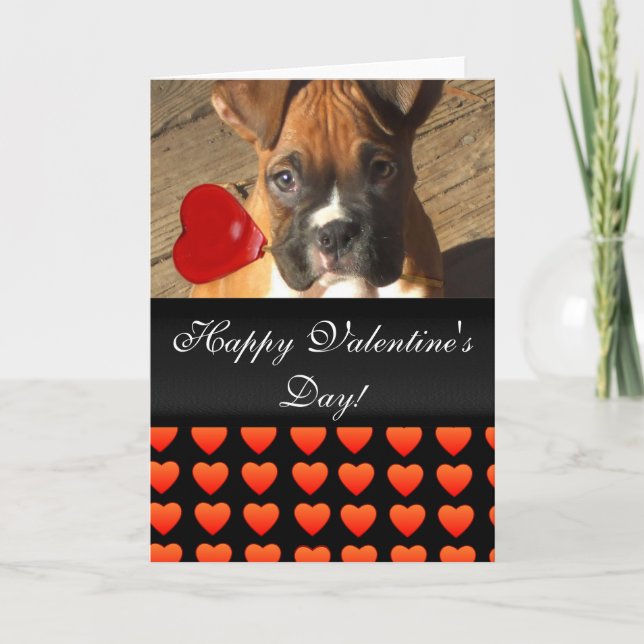 Cartes Pour Fêtes Annuelles Heureuse Sainte-Valentin Boxer Coeurs de chien Car (Devant)
