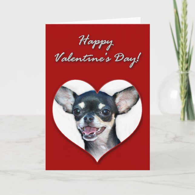 Cartes Pour Fêtes Annuelles Heureuse Sainte-Valentin Chihuahua (Devant)