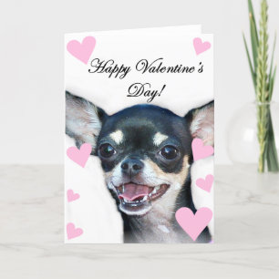 Cartes Pour Fêtes Annuelles Heureuse Sainte-Valentin Chihuahua