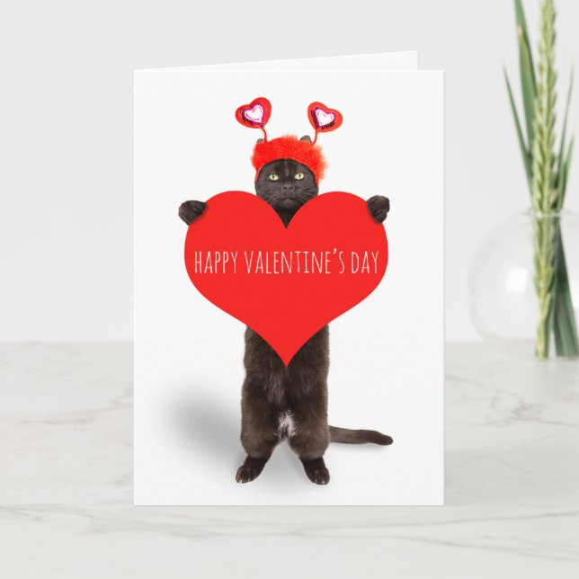 Cartes Pour Fêtes Annuelles Heureuse Sainte-Valentin Cute Chat tenant Humour d (Devant)