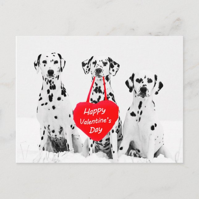 Cartes Pour Fêtes Annuelles Heureuse Sainte-Valentin de coeur de chien de (Devant)