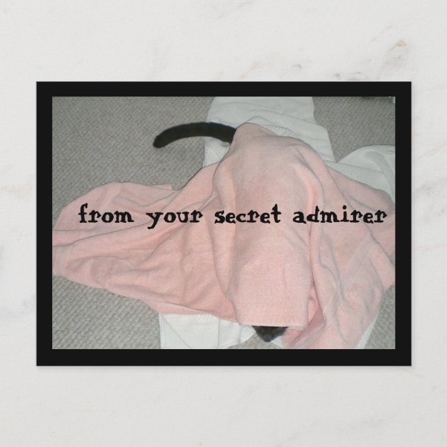 Cartes Pour Fêtes Annuelles Heureuse Sainte-Valentin de l'animal de compagnie (Devant)