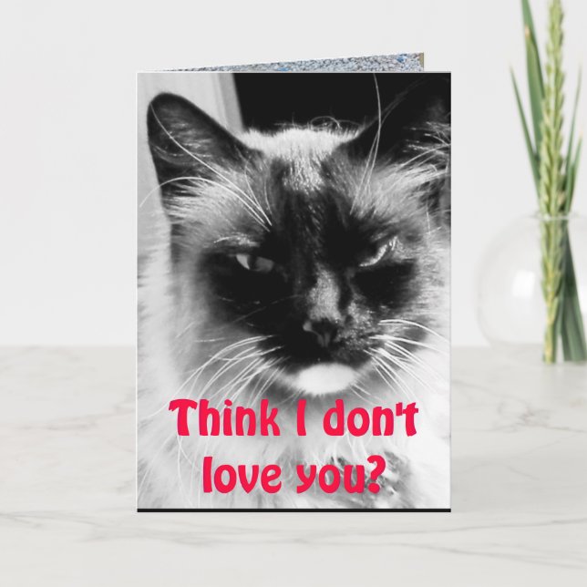 Cartes Pour Fêtes Annuelles Heureuse Sainte-Valentin de l'Humour de chat (Devant)