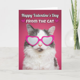 Cartes Pour Fêtes Annuelles Heureuse Sainte-Valentin de l'Humour de chat
