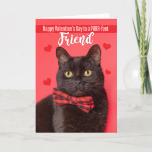 Cartes Pour Fêtes Annuelles Heureuse Sainte-Valentin Friend Cute Chat dans la 