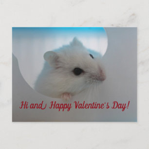 Cartes Pour Fêtes Annuelles Heureuse Sainte-Valentin Hamster